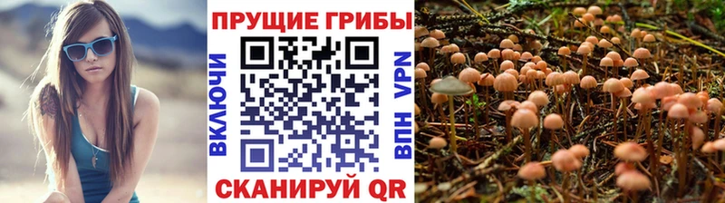 Псилоцибиновые грибы MAGIC MUSHROOMS  Купить закладки  Владивосток 